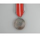 Cruz de la Orden del Águila Alemana Medalla de Plata al Mérito